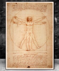 The Vitruvian Man by Leonardo da Vinci Drawing Art Paintings Print On Canvas Posters And Prints Famous Art Pictures Home Decor