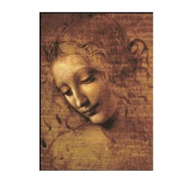 Woman's Head Classical Painting by Leonardo Da Vinci