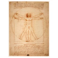 The Vitruvian Man by Leonardo da Vinci 1492