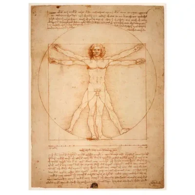 The Vitruvian Man by Leonardo da Vinci 1492