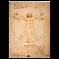The Vitruvian Man by Leonardo da Vinci 1492