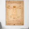 The Vitruvian Man by Leonardo da Vinci Drawing Art Paintings Printed On Canvas