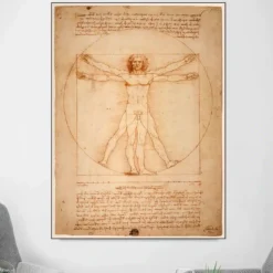 The Vitruvian Man by Leonardo da Vinci Drawing Art Paintings Printed On Canvas