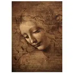 Woman’s Head, The Lady with Dishevelled Hair by Leonardo da Vinci