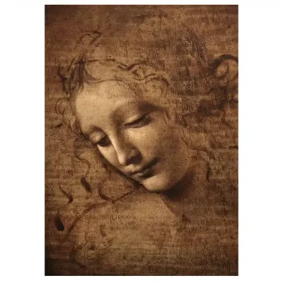 Woman’s Head, The Lady with Dishevelled Hair by Leonardo da Vinci