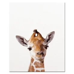 Baby Animal Wall Art Pictures for Kids Bedroom Decoration Printed on Canvas - Image 2