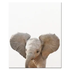 Baby Animal Wall Art Pictures for Kids Bedroom Decoration Printed on Canvas - Image 4
