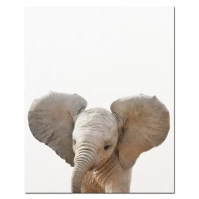 Baby Animal Wall Art Pictures for Kids Bedroom Decoration Printed on Canvas - Image 4
