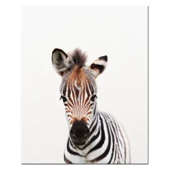 Baby Animal Wall Art Pictures for Kids Bedroom Decoration Printed on Canvas - Image 5