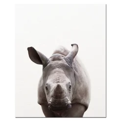 Baby Animal Wall Art Pictures for Kids Bedroom Decoration Printed on Canvas - Image 6
