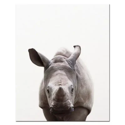 Baby Animal Wall Art Pictures for Kids Bedroom Decoration Printed on Canvas - Image 6