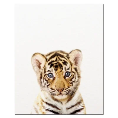 Baby Animal Wall Art Pictures for Kids Bedroom Decoration Printed on Canvas - Image 8