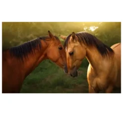 Beautiful Horses Artwork for Home Decoration Printed on Canvas - Image 2