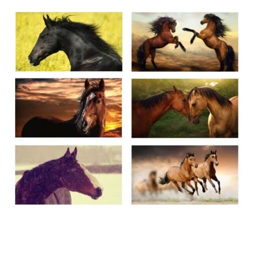 Beautiful Horses Artwork