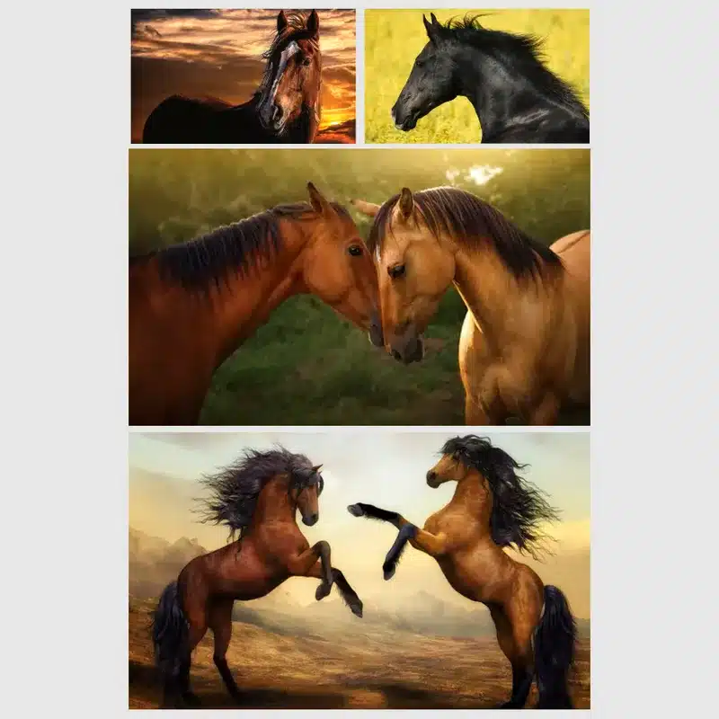 Beautiful Horses Artwork for Home Decoration Printed on Canvas