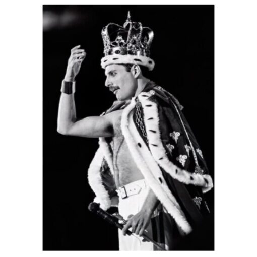 Freddie Mercury 5