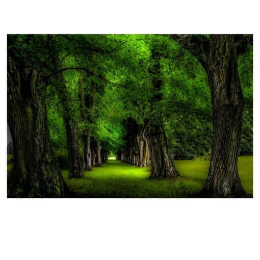Green Tree Wall Decorative Paintings Printed on Canvas - Image 3