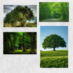 Green Tree Wall Decorative Paintings Printed on Canvas