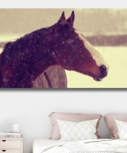 Beautiful Horse Oil Painting Art for Home Decoration - Print on Canvas