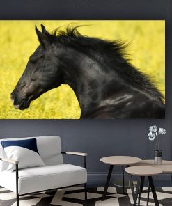 Beautiful Horse Oil Painting Art for Home Decoration - Print on Canvas