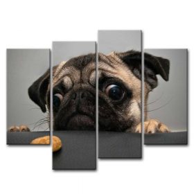 4Pcs Modern Art " Adorable Looking Dog " Printed on Canvas