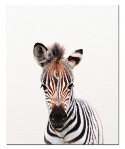 Baby Animal Wall Art Pictures for Kids Bedroom Decoration - Printed on Canvas