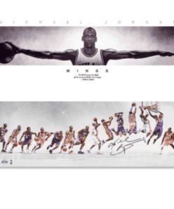 Michael Jordans Wings Kobe Bryants Evolution