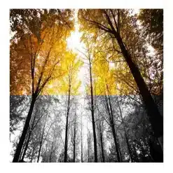 Modern Art Beautiful Nordic Scenery Wall Art Printed on Canvas - Image 6