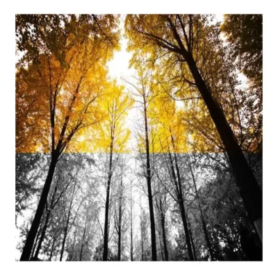 Modern Art Beautiful Nordic Scenery Wall Art Printed on Canvas - Image 6