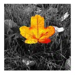 Modern Art Beautiful Nordic Scenery Wall Art Printed on Canvas - Image 7