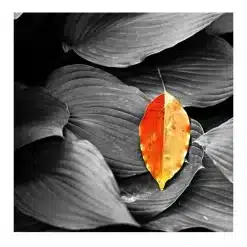 Modern Art Beautiful Nordic Scenery Wall Art Printed on Canvas - Image 8