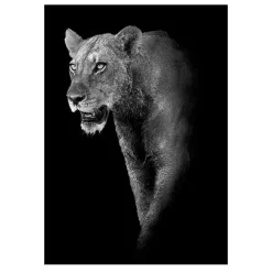 Modern Art Wild Animals Painting Printed on Canvas - Image 11
