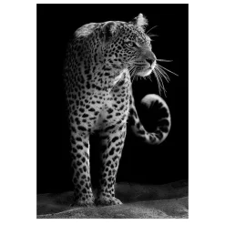 Modern Art Wild Animals Painting Printed on Canvas - Image 12