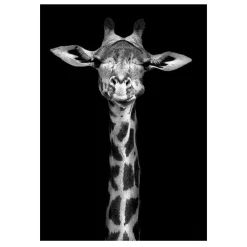 Modern Art Wild Animals Painting Printed on Canvas - Image 3