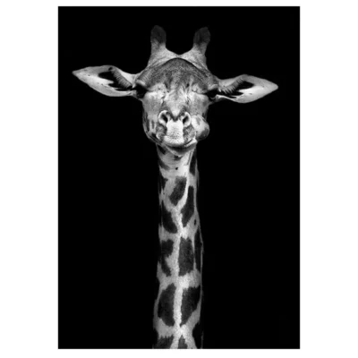 Modern Art Wild Animals Painting Printed on Canvas - Image 3