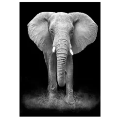 Modern Art Wild Animals Painting Printed on Canvas - Image 4