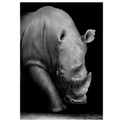 Modern Art Wild Animals Painting Printed on Canvas - Image 5