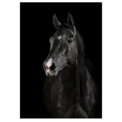 Modern Art Wild Animals Painting Printed on Canvas - Image 6