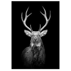 Modern Art Wild Animals Painting Printed on Canvas - Image 7