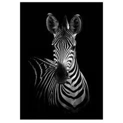 Modern Art Wild Animals Painting Printed on Canvas - Image 8