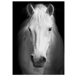 Modern Art Wild Animals Painting Printed on Canvas - Image 9