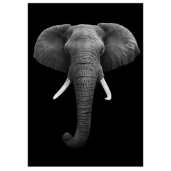 Modern Art Wild Animals Painting Printed on Canvas - Image 10