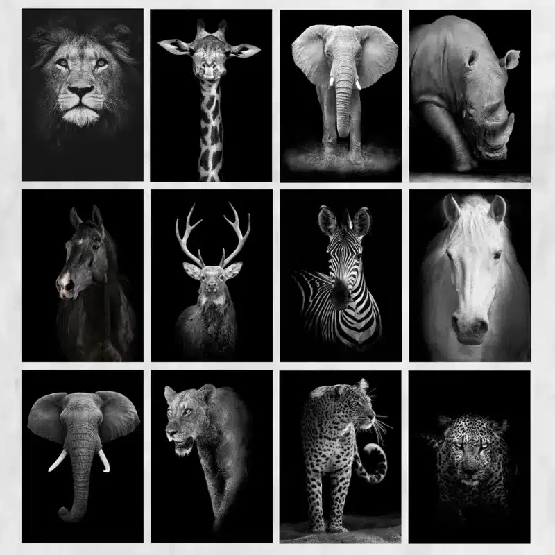 Modern Art Wild Animals Picture Printed on Canvas