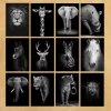 Modern Art Wild Animals Picture Printed on Canvas