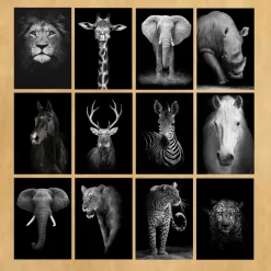 Modern Art Wild Animals Picture Printed on Canvas