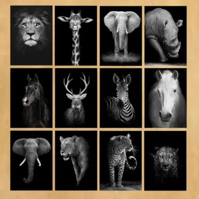 Modern Art Wild Animals Picture Printed on Canvas
