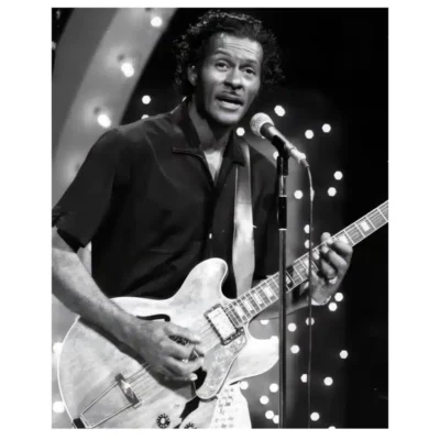 The Musician Chuck Berry 1973