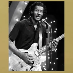 The Musician Chuck Berry