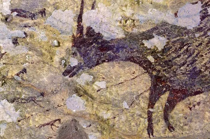 44,000 years old painting