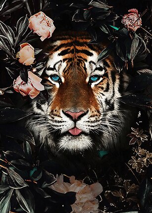 Wild Jungle Animal Paintings Printed on Canvas – CanvasPaintArt
